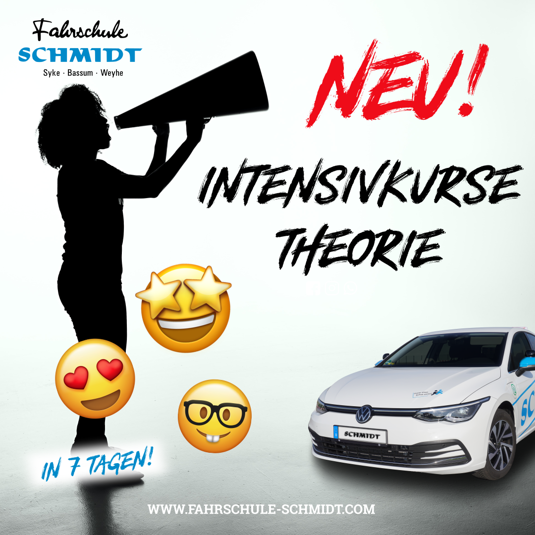Intensivkurse-Theorie
